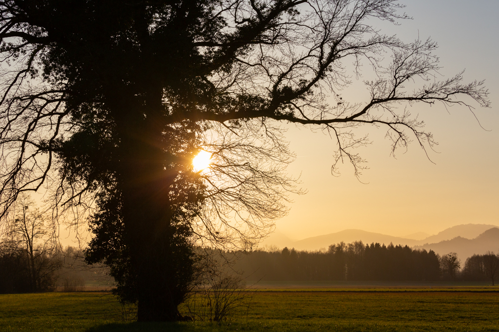 Lauteracherried im J&auml;nner 89